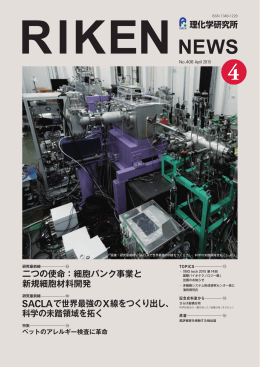 二つの使命：細胞バンク事業と 新規細胞材料開発