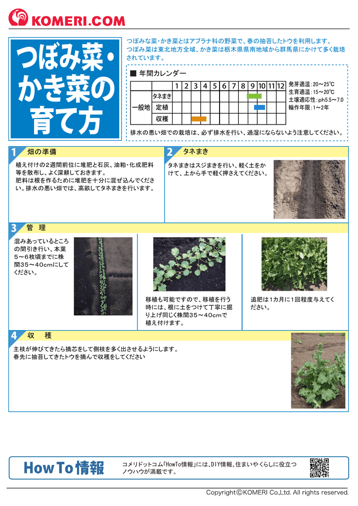 かき菜の 育て方 コメリドットコム