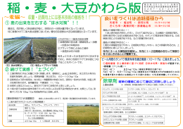 稲・麦・大豆かわら版を更新しました（PDF：415KB）