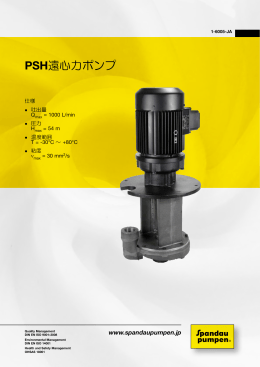 PSHシリーズ繁用ポンプ - Spandau Pumpen