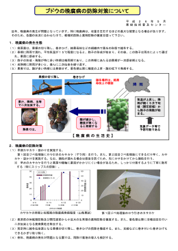 ブドウ晩腐病対策（PDF：260KB）