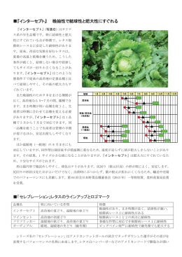 『インターセプト』 晩抽性で結球性と肥大性にすぐれる 「セレブレーション