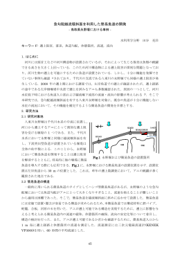 急勾配越流堰斜面における簡易魚道の開発