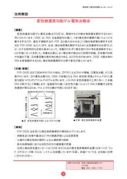 変性剤濃度勾配ゲル電気泳動法