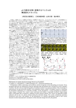 pH 勾配を仕事に変換するベシクルの 構造変化メカニズム