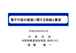 電子行政の推進に関する取組と展望