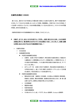 光線性皮膚症（120828）
