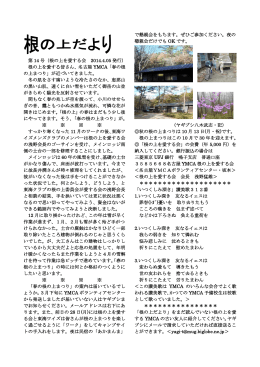第 14 号
