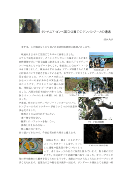 タンザニア・ゴンベ国立公園でのチンパンジーとの遭遇