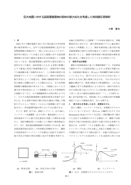 巨大地震に対する超高層建築物の部材の耐力劣化を考慮した時刻歴