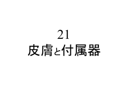 021皮膚と付属器