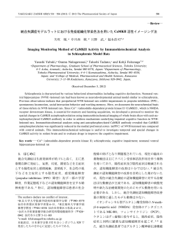 統合失調症モデルラットにおける免疫組織化学染色法を用いた - J