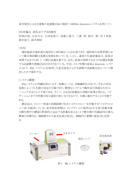 蛍光染色による生菌数の迅速検出法の検討～Milliflex Quantum