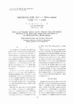 長崎空港付近 の鳥類一 特 に トビMilvusmlgrans の行動 パ ター ンと食