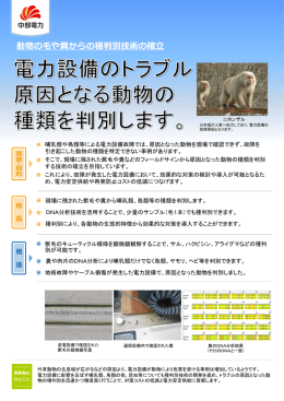 哺乳類や鳥類等による電力設備故障では、原因となった動物を現場で