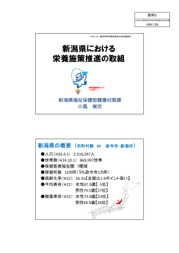 資料5 新潟県における栄養施策推進の取組（PDF：1040KB）