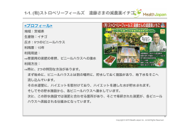 1-1. (有)ストロベリーフィールズ 遠藤さまの減農薬イチゴ
