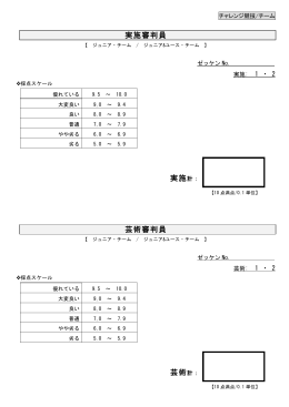 チャレンジ競技 チーム（実施・芸術）審査用紙