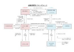 技能実習生フローチャート