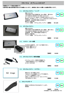 Eサイクル オプションカタログ