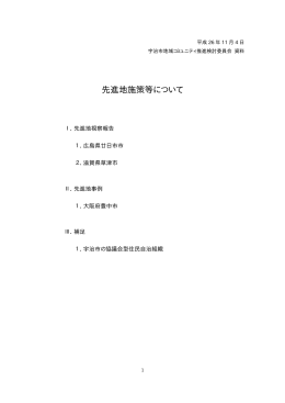 先進地施策等について (pdf 32.71 KB)