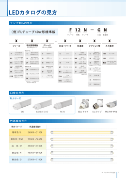 LEDカタログの見方