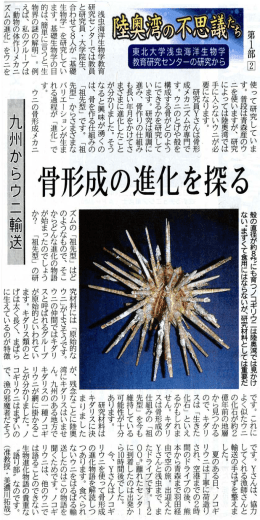 九州からのウニ輸送