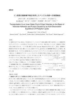 4B19 リン脂質の酸解離平衡を利用したベシクル内部
