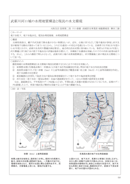 武庫川河口域の水理地質構造と現況の水文環境