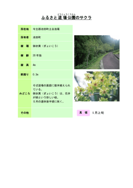 44丹南：ふるさと道場公園のサクラ（PDF形式 185キロバイト）