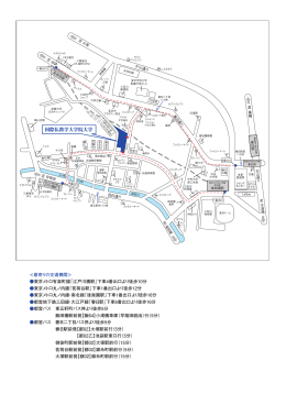 国際仏教学大学院大学