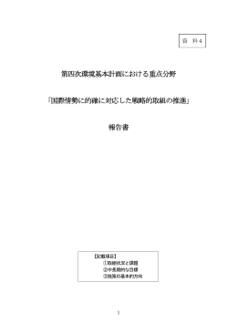 国際情勢に的確に対応した戦略的取組の推進