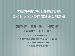 大腿骨頚部/転子部骨折診療 ガイドラインの作成経過と問題点
