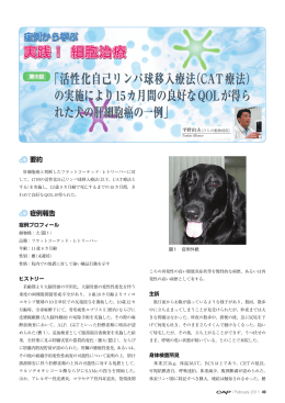 第7回 「活性化自己リンパ球移入療法（CAT療法） の
