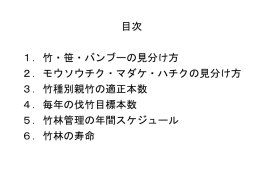 目次 1．竹・笹・バンブーの見分け方 2．モウソウチク・マダケ・ハチクの