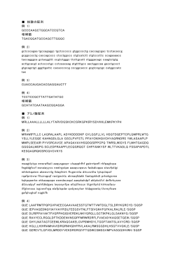 核酸の配列 例 1) GCCCAAGCTGGCATCCGTCA 相補鎖