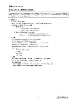 実験プロトコール 301 基本ビーズへの 2 本鎖 DNA の固定化