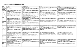 クリニカルラダー別看護実践能力指標