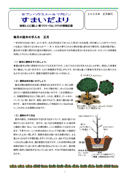 毎月の庭木の手入れ 正月