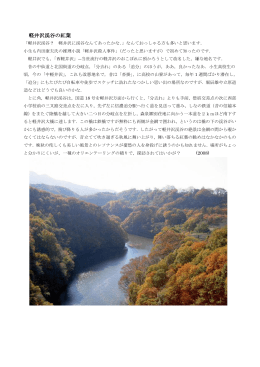 軽井沢渓谷の紅葉