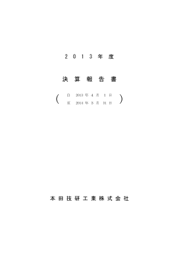 2013年度 決算報告書