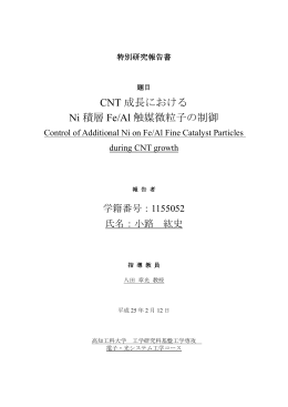 CNT 成長における Ni 積層 Fe/Al 触媒微粒子の制御