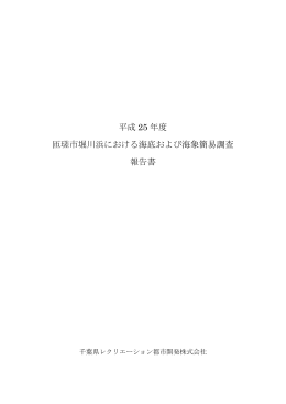 匝瑳市堀川浜における海底および海象簡易調査報告書 [845KB pdf