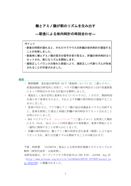 糖とアミノ酸が朝のリズムを生み出す