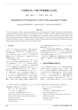 CT画像を用いた肺の呼吸機能の定量化