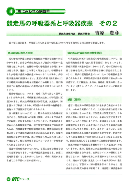競走馬の呼吸器系と呼吸器疾患 その2