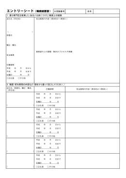 エントリーシート（職務経歴書）
