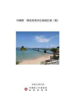 沖縄県 橋梁長寿命化修繕計画（案）