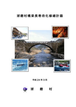 球磨村橋梁長寿命化修繕計画 球 磨 村