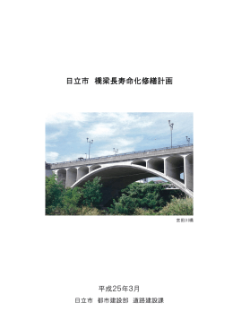 日立市 橋梁長寿命化修繕計画 橋梁長寿命化修繕計画